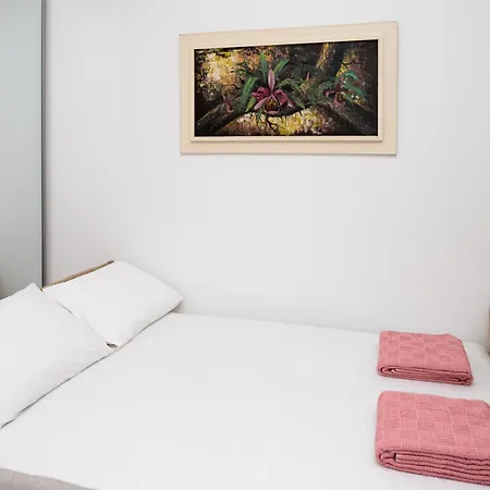Nest 59 *